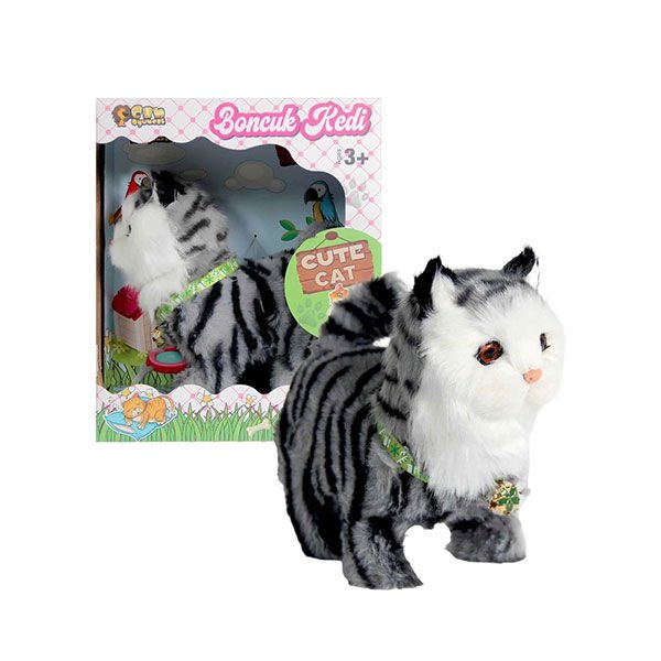 Can Boncuk Kedi