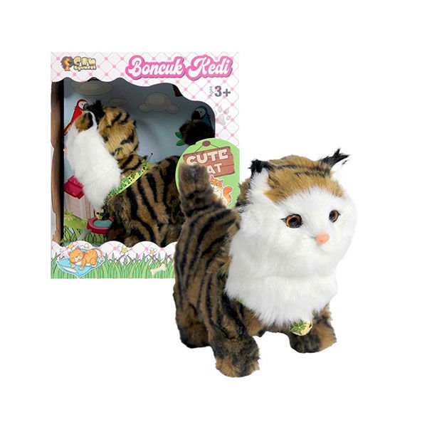 Can Boncuk Kedi