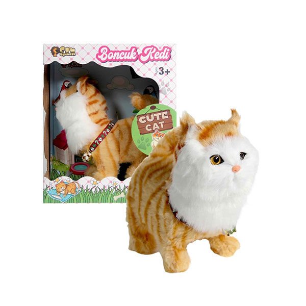 Can Boncuk Kedi