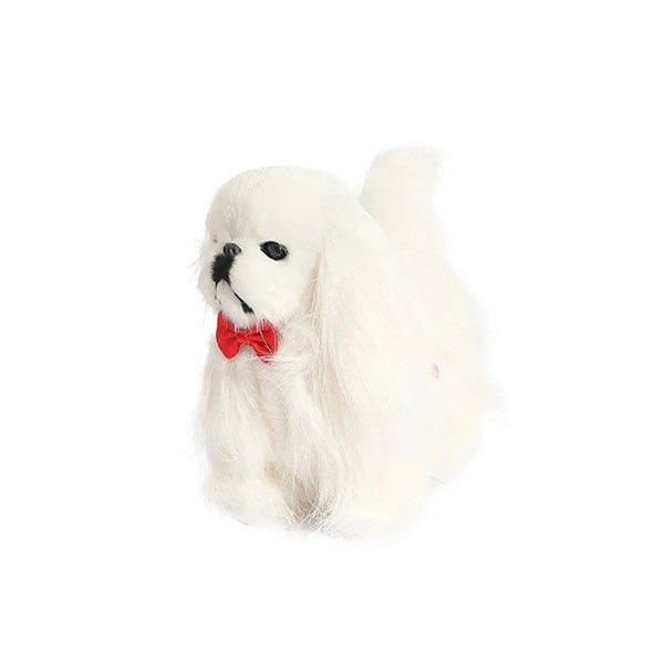 Can Sesli Köpüş Köpek