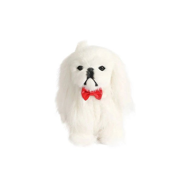 Can Sesli Köpüş Köpek