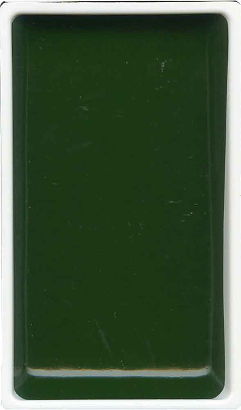 ZIG SULUBOYA GANSAI TAMBI TABLET NO:58 SAP GREEN DEEP