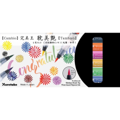 ZIG CAMBIO TAMBIEN PEN 6 LI SET X050T/6VB