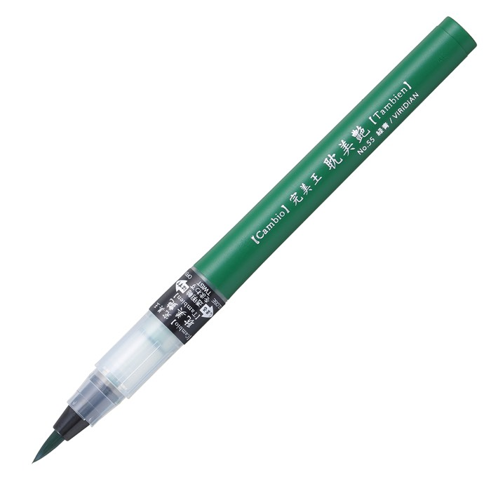 ZIG CAMBIO TAMBIEN PEN VİRİDİAN 055 X050T