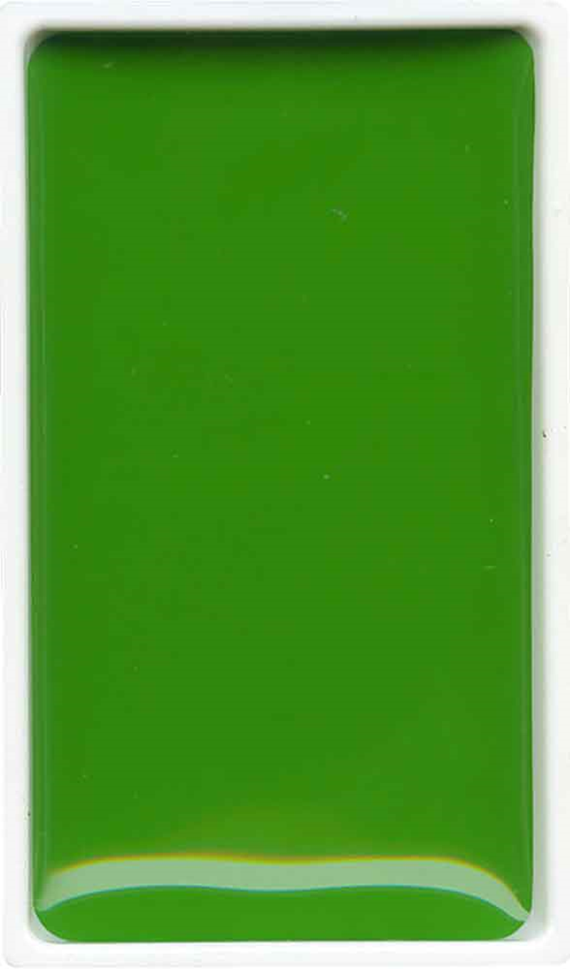 ZIG SULUBOYA GANSAI TAMBI TABLET NO:51 SAP GREEN LIGHT