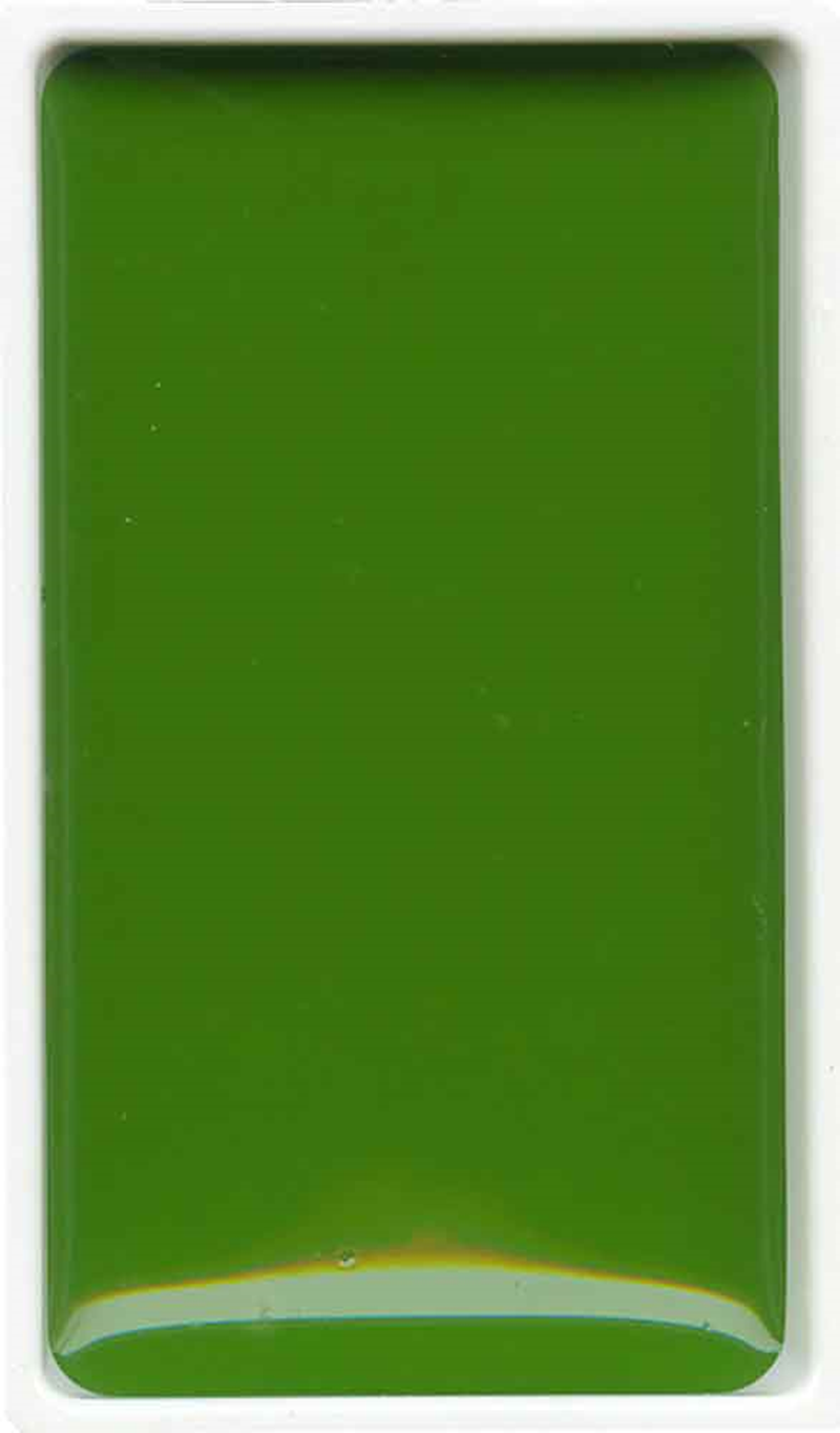ZIG SULUBOYA GANSAI TAMBI TABLET NO:53 SAP GREEN