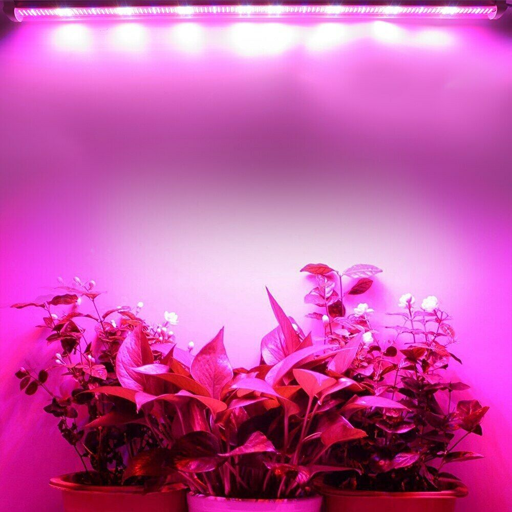 50Cm Grow Led Full Spectrum Led Bitki Büyütme Ledi 12V