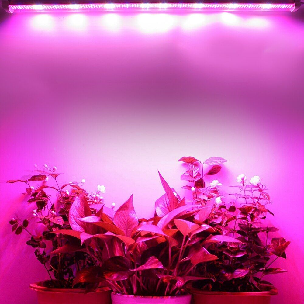 100Cm Grow Led Full Spectrum Led Bitki Büyütme Ledi 12V