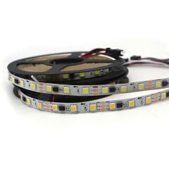 24 Volt Gün Işığı Pixel Şerit Led WS2811 IP20 5M