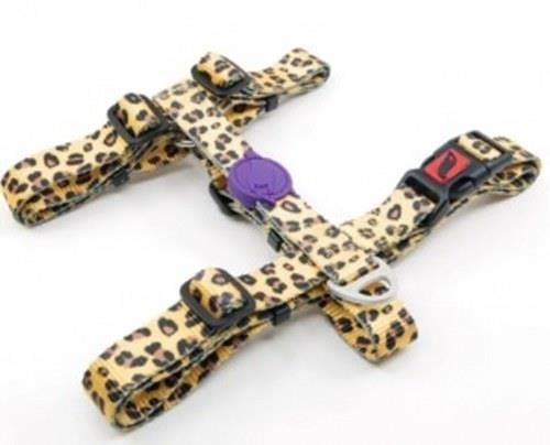 TAILPETZ LEOPARD H-HARNESS L GÖĞÜS TASMASI