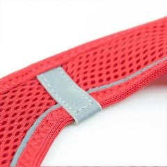 Tailpetz Air Mesh Harness Göğüs Tasması Kırmızı Medium