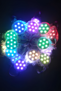 24 Volt 50MM Adreslenebilir ARGB Lunapark Ledi WS2811 ARGB Pixel Modül Led (30 Adet)