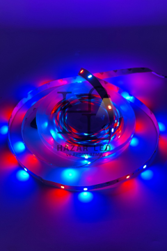 12 Volt 5 Metre 3528 Tek Çipli RGB İç Mekan IP20 Şerit Led Set