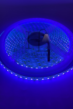 12 Volt UV (Ultraviyole) Şerit Led 2835 SMD Metrede 120 Led Black Light 5 Metre