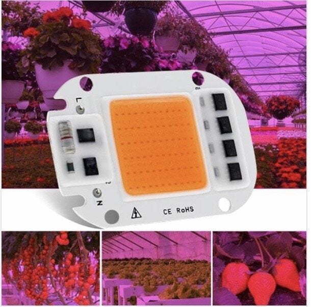 220V 50W Grow Led Full Spectrum Cob Led (Bitki Yetiştirme Ledi)
