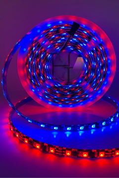 12 Volt WS2811 ARGB Adreslenebilir Pixel Şerit Led IP65 Dış Mekan Magic Led 60 Ledli 5 Metre