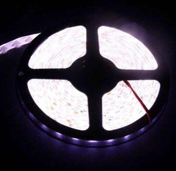 24 Volt Şerit Led 5050 IP65 5 Metre Mavi