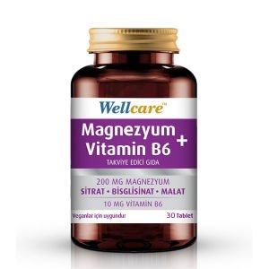 Wellcare Magnezyum Vitamin B6 Takviye Edici Gıda 30 Tablet