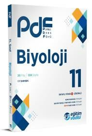 2024 11. Sınıf Biyoloji Güncel PDF Planlı Ders Föyü Eğitim Vadisi Yayınları