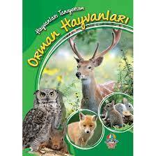 ORMAN HAYVANLARI-HAYVANLARI TANIYORUM