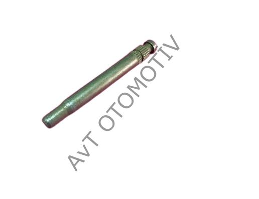 R21 Kapı Menteşe Pimi - 7700792313