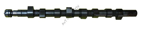 EGZANTRIK MILI F8Q-706 (0918T)