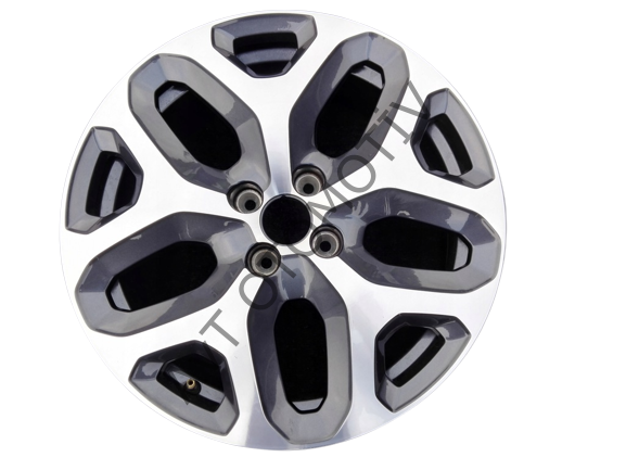 ALUMINYUM JANT 17''INC CAPTUR 403001973R
