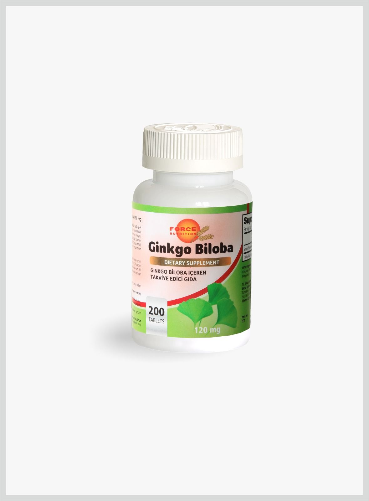 GİNKGO 120 MG 200 TABLET