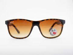 RayBan RB4181 710/13 Polarize Unisex Güneş Gözlüğü