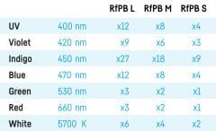 Reef Flare Pro Blue L