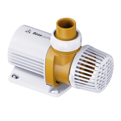 Base Pump 10000