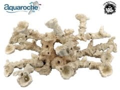 699720 Acropora kit 21 pieces