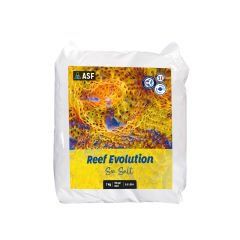 Reef Evolution Poşet