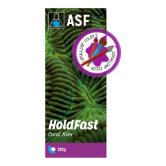 Hold fast Epoxy (KUM rengi) 120 grams