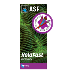 Hold fast Epoxy (KUM rengi) 120 grams