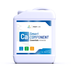 Smart Component 3X5 Litre