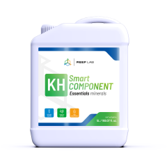 Smart Component 3X5 Litre