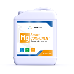 Smart Component 3X5 Litre