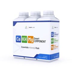 Smart Component 3X1 Litre