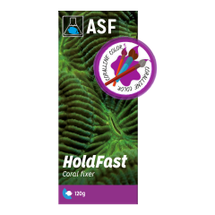 Hold fast Epoxy (MOR rengi) 120 grams