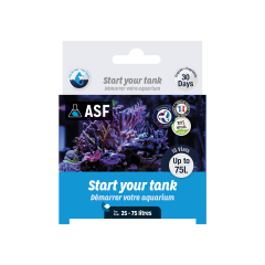START UP MARİNE
