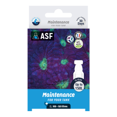 Maintenance