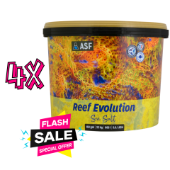 Reef Evolution 22 kg Kova(4 adet )