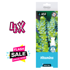 Vitamins - 24 x 20ml Shots (480ml)(4 adet)