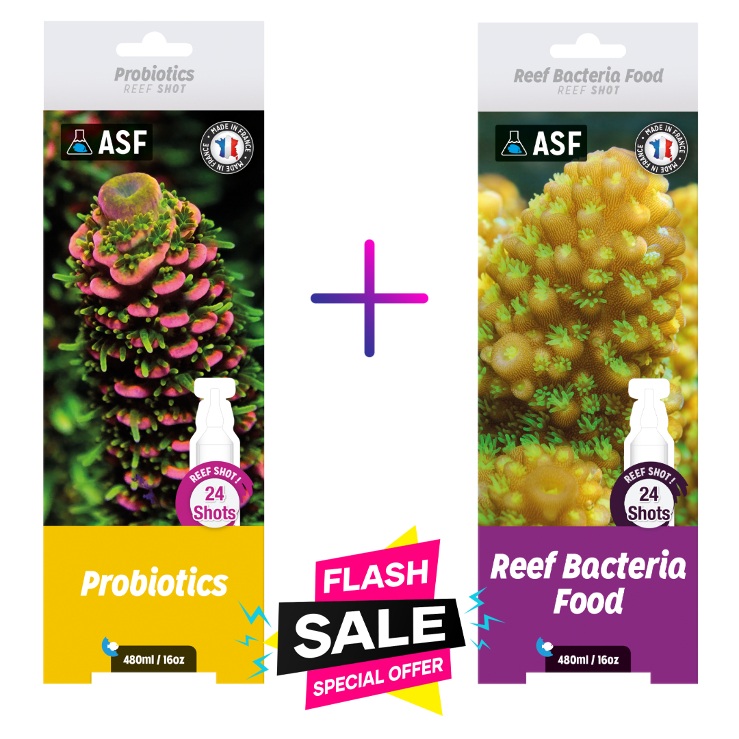 ASF probiotics + Reef bacteria food