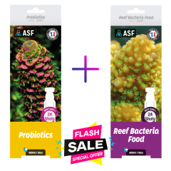 ASF probiotics + Reef bacteria food