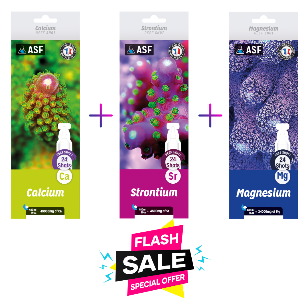 ASF calcium + strontium + magnesium (24x20ml) shots (480ml)