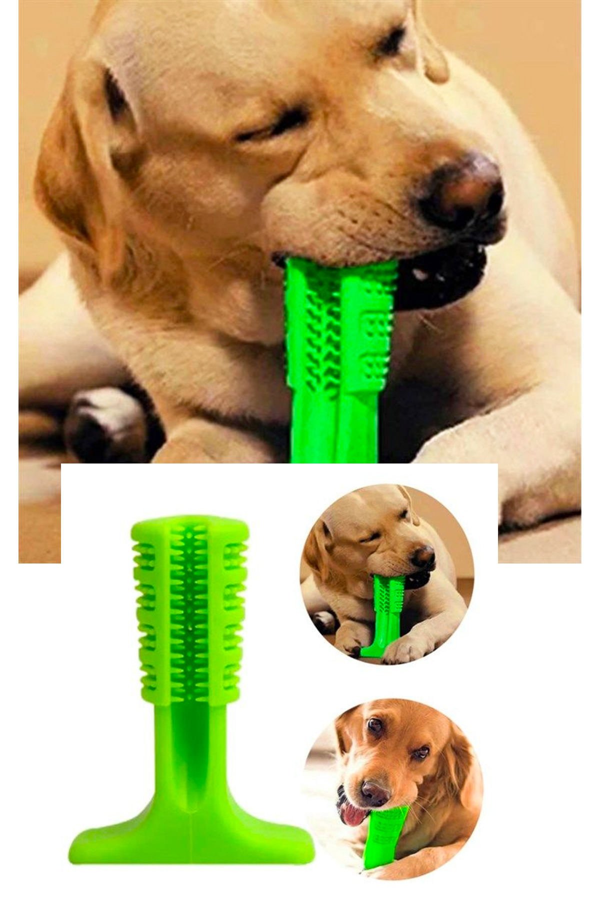 Köpek Diş Temizleyici ve Kaşıyıcı Sağlıklı Küçük Boy Oyuncak