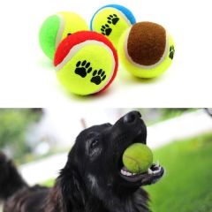 Tenis Topu Köpek, Kedi Eğitim Oyuncağı - Dayanıklı ve Eğlenceli Köpek, Kedi Oyun Topu (3 ADET)