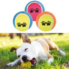Tenis Topu Köpek, Kedi Eğitim Oyuncağı - Dayanıklı ve Eğlenceli Köpek, Kedi Oyun Topu (3 ADET)
